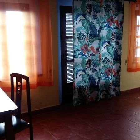 Sunshine Apartment At Tropical Coast Of Granada Almuñécar Zewnętrze zdjęcie